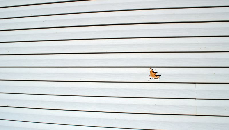 Professional Vinyl Siding Repair - Image 1